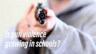 U.S. influencing school shootings? France worried after incident