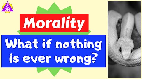 Morality: What if nothing is ever wrong?