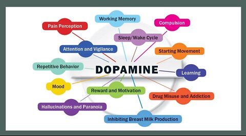 How to balance and increase Dopamine