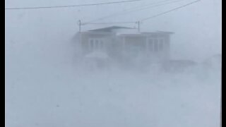 Tempête : 50 cm de neige à Gaspé, et ce n'est pas fini