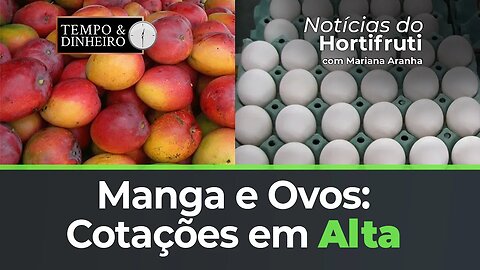 Cotações em alta para a manga. Alta também para os ovos em SP