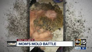 Valley mom battles landlord over mold, concerned it hurt her child