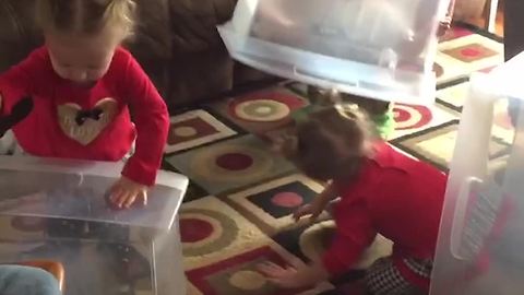 Three Kids Don’t Want to Play With Toys, Just The Boxes