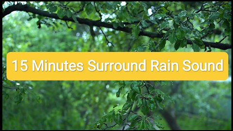 15 Minutes Rain Forest Sound