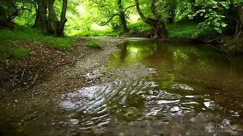 Relaxing River Sounds Original REAL SOUNDS - Peaceful Forest River 3 Hours Long Nature Video