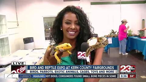 Exotic Bird and Reptile Expo at the Kern County Fairgrounds