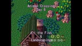 Animal Crossing: Day 6