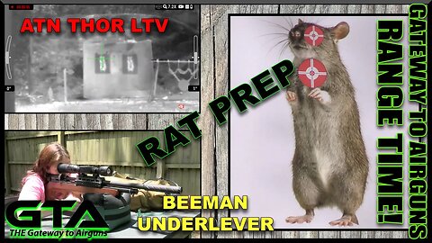 BEEMAN UNDERLEVER & ATN THOR LTV – Rat Prep - Gateway to Airguns Range Time