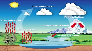 Science Sundays: A Look at the Water Cycle