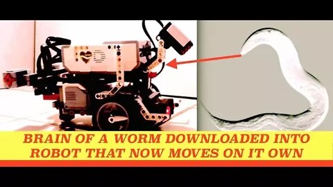 Brain of a Worm Downloaded into Robot that Moves on its Own