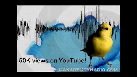 Flat Earth Clues Interview 12 - Canary Cry Radio via Skype Audio - Mark Sargent ✅