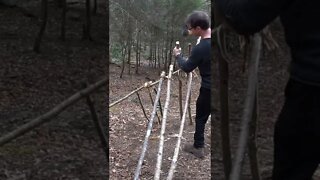 Building a Survival A Frame Shelter. Bushcraft skills