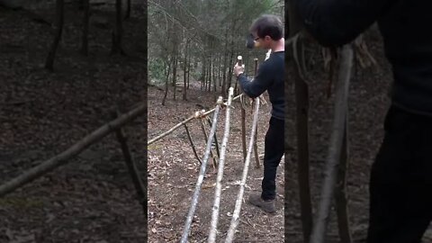Building a Survival A Frame Shelter. Bushcraft skills