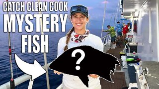 Catch Clean Cook Whatever Fish We Catch Next - Mystery Fish!