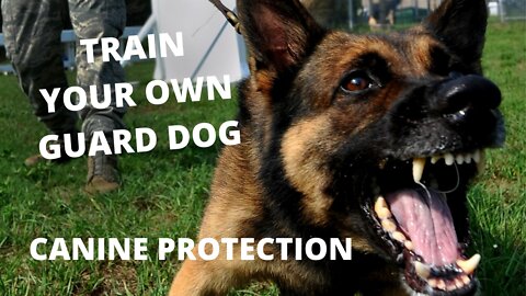 Step by Step Training to Make your Dog the Ultimate Guard Dog