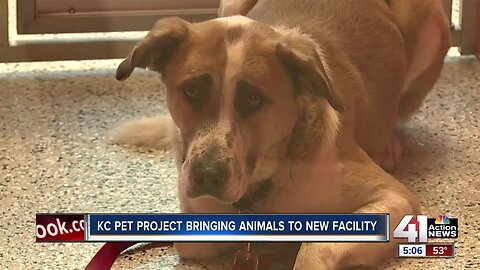 KC Pet Project welcomes pets to new facility
