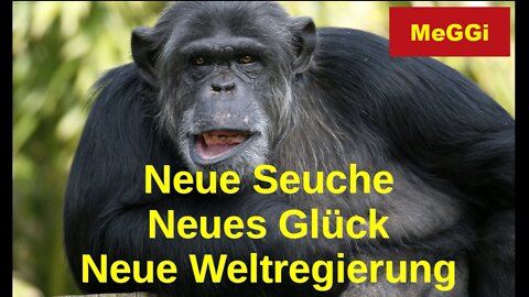 MeGGi - Neue Seuche - Neues Glück - Neue Weltregierung