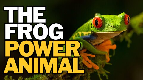 The Frog Power Animal