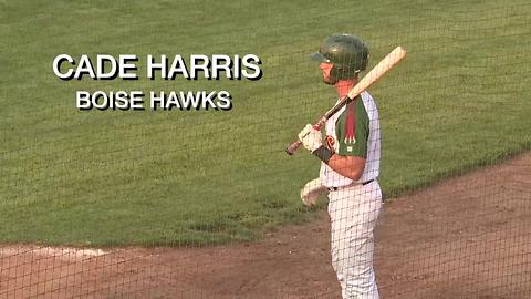 Boise Hawks experiencing big year in attendance while players strive to make it to the Major Leagues