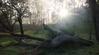 One Man's Adventure in the Australian Wilderness @ 13
