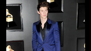 Shawn Mendes admits the 'stillness' of quarantine 'brought a lot of anxiety to the surface'