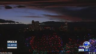 Zoo Lights gives visitors the chance to see lights, animals