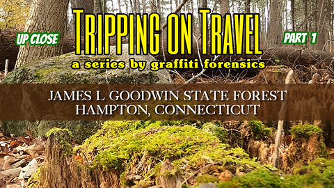 Tripping on Travel: James L Goodwin State Forest, Hampton, CT