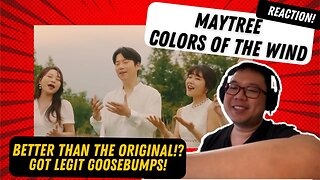 MayTree - Colors of the Wind Acapella Collaboration Reaction