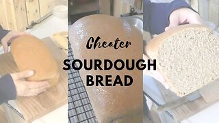 Cheater SOURDOUGH Bread || Using yeast in sourdough bread recipes