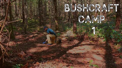 Bushcraft Camp 1: Clearing a Site