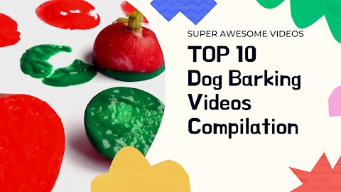 TOP 10 Dog Barking Videos Compilation