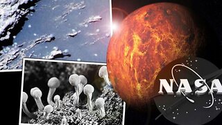 NASA Tried Making Metal-Fungi Hybrids!!