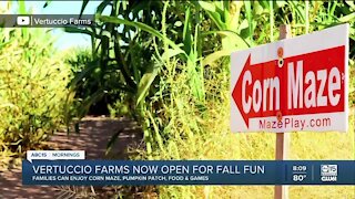 Vertuccio Farms now open for fall fun