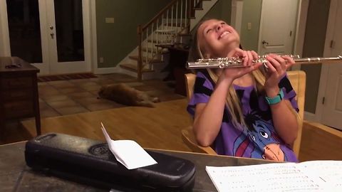 Doggy Critic Disapproves Of Flute Playing