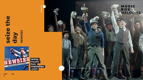Seize The Day by Newsies Music box version