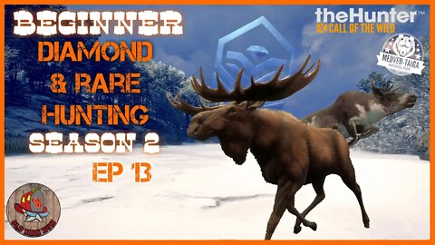 TheHunter: Call of the Wild - Beginner DIAMOND & RARE Hunting Ep 43