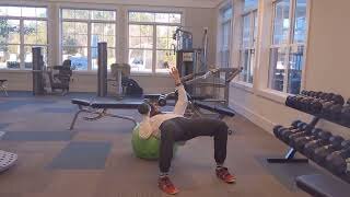 THE SWISS BALL ONE-HANDED DUMBBELL PUSH