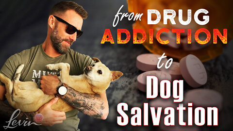 From Drug Addiction to Dog Salvation