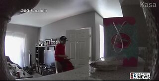 Dressed as pizza man, break in caught on camera