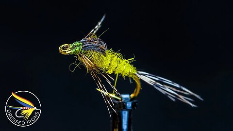 Tying The BWO Nymph - Dressed Irons