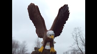 3D Printed Eagle