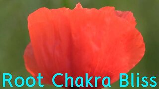 4 Petaled Red Lotus Flower Meditation | Muladhara Chakra Activation