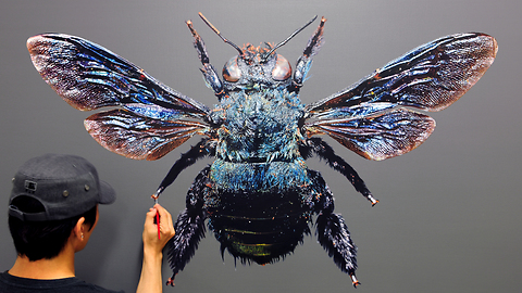 Artist creates truly realistic insect portrait