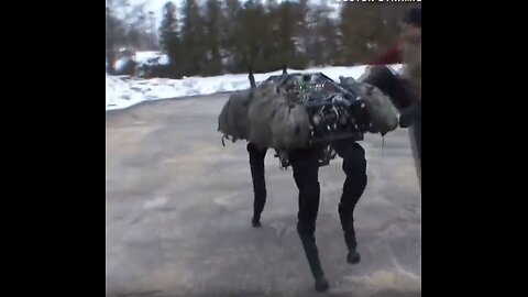 Boston Dynamics robots