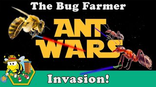 ANT WARS | Queen Evacuates! Keep ants from NUC - Resource Hive under attack! - Ants in Beehive
