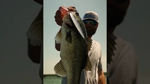 Lake Fork GIANT Caught On The New Magnum Sonar Spoon