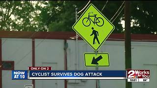 Cyclist survives dog attack