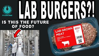 Lab Grown Meat Approved in the USA