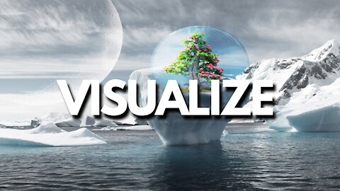 Visualize Wealth