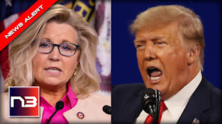 Rep. Liz Cheney (R-INO) asked about 2024, Her Response is Frightening
